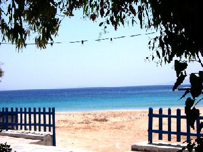 on the beach